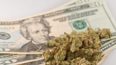 New York Retailers Have Now Officially Sold $1 Billion Worth Of Legal Marijuana, Governor Announces