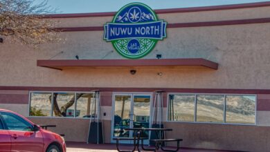 Data Shows Growing Number of Native American Tribal Cannabis Business Owners