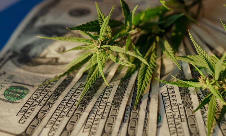 House Republicans Strike Cannabis Banking Provisions From Funding Bill