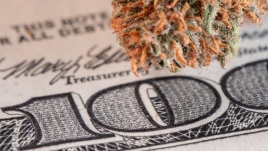 Annual California Cannabis Tax Revenue Fund Grantees Awarded $46M