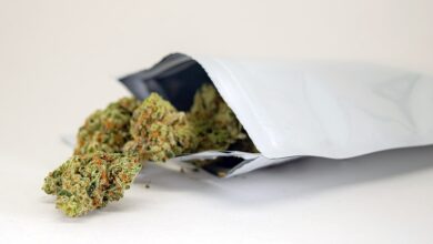 Oregon Cannabis Prices Hit All-Time Low