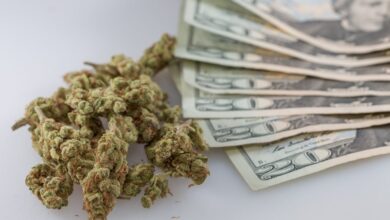 New Jersey Marijuana Sales Top $1 Billion Mark For 2024, State Officials Announce