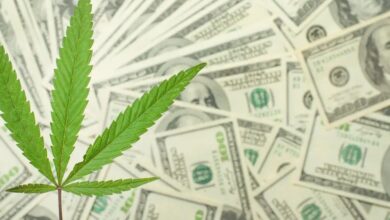 Ohio Cannabis Sales Total $242M in 2024