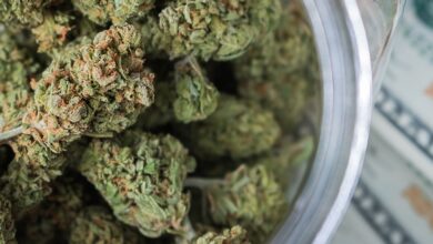 New York Adult-Use Cannabis Sales Top $1B